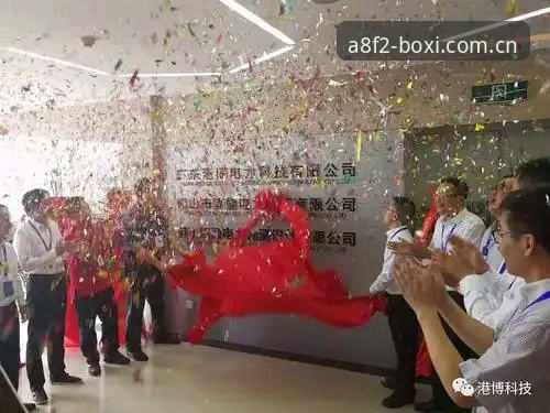 博喜体育平台注册全流程深度分析：从零开始的详细操作指南
